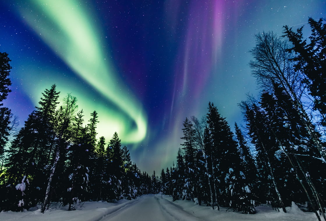 Thumbnail image from Finland ~ Arctic Magnificence