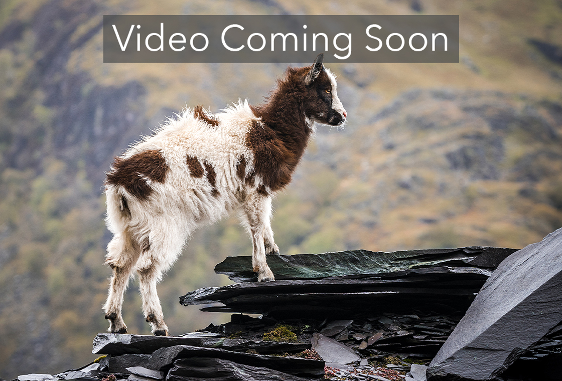 Thumbnail image from Wales: Land and Legend